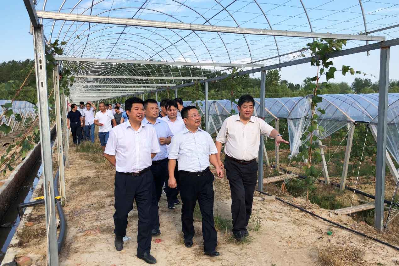 安博电竞·(中国区)有限公司官网